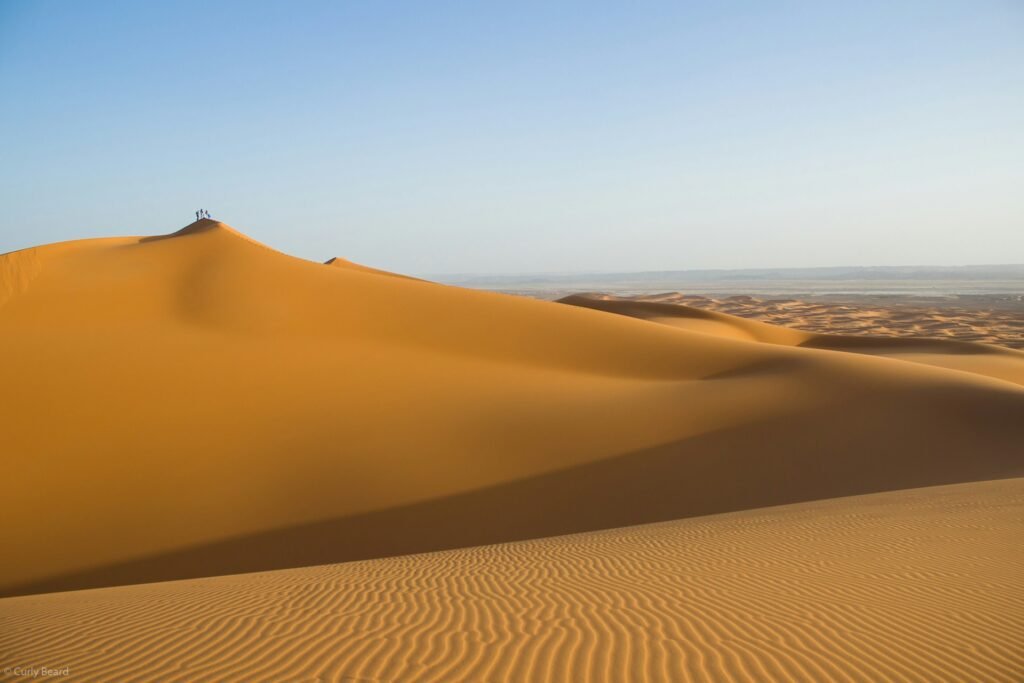 Exploration de l’Univers Dune : Les Œuvres de Frank Herbert